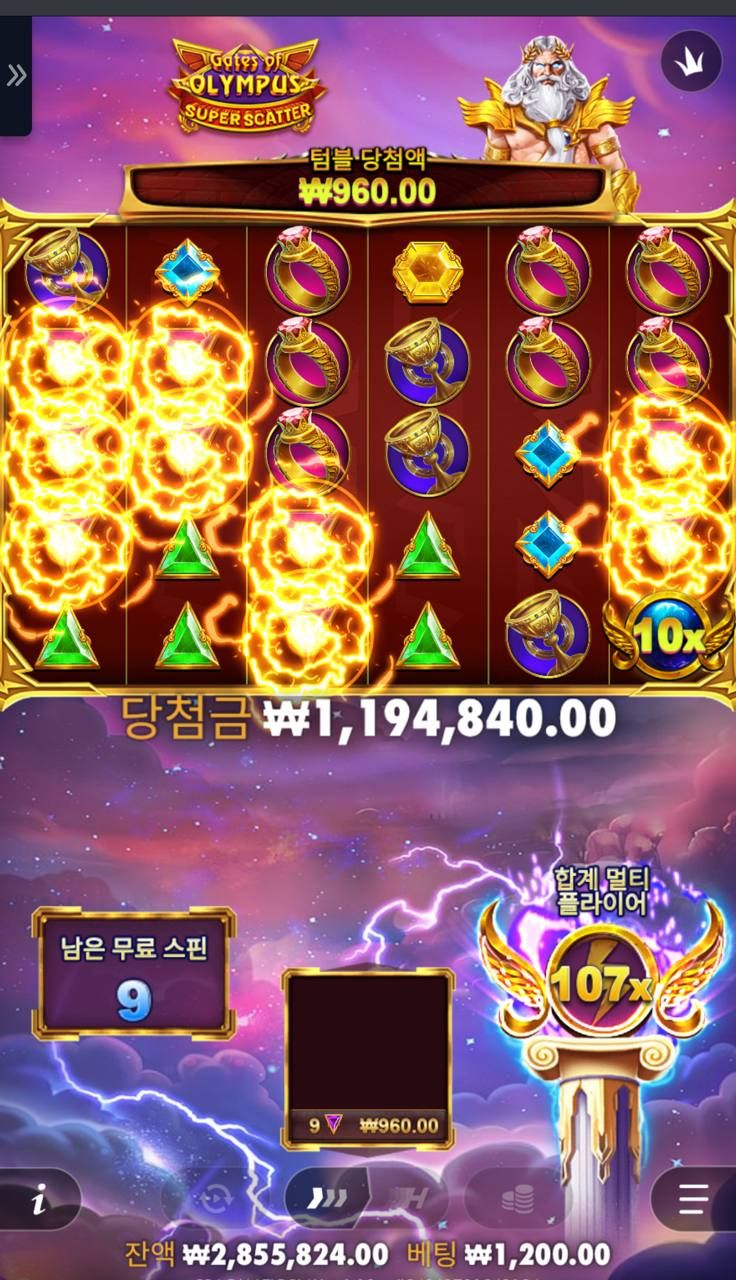 인증샷