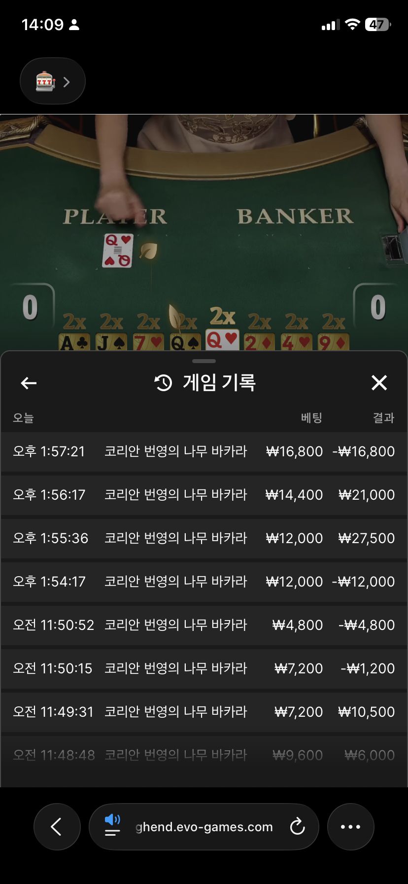 인증샷